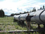 The Alaska Pipeline