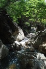 The creek below Cattail Falls