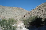 The Marufo Vega trail