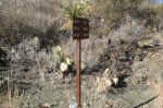 Just like in February, Charlie left water at the Dodson Trail / Elephant Tusk junction, just in case of an emergency.