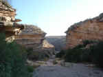 The canyon leading to Ernst Tinaja