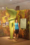 Janice and a giant pitcher plant