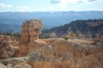 A group of hoodoos at Sunrise Point.