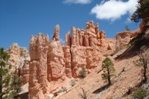 Hoodoos in Campbell Canyon.