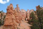 Hoodoos on the trail out of Campbell Canyon.
