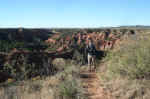 On the Canyon Rim trail