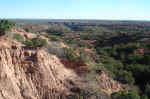 View from the Canyon Rim trail