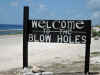 The blowholes