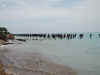 Pilings at Fort Jefferson