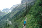 The Highline Trail has great views of the Going-to-the-Sun Road.