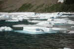 Iceberg Lake.