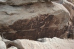 Petroglyphs in Petrified Forest National Park: notice the stork delivering (or snatching?) a baby