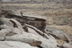 Petroglyphs in Petrified Forest National Park: this one has a smiley face