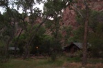 Phantom Ranch consists of a few buildings amongst the trees.