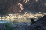 The last view of the Colorado River before heading up the Bright Angel trail.