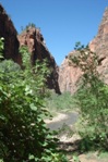 "The Narrows" at the end of the main Zion Canyon.