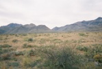 The Franklin Mountains and Smugglers' Pass