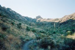 The Ron Coleman trail into the canyon above Smugglers' Pass