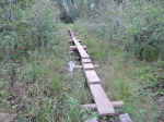 Boardwalk on the trail to Scoville Point