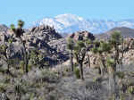 Snow-capped mountains above Joshua Tree National Park