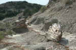 Petrified wood at Theodore Roosevelt National Park