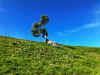 IMG_4164.JPEG (5824092 bytes)