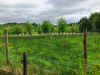 IMG_4194.JPEG (6857712 bytes)