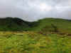 IMG_4221.JPEG (4931935 bytes)