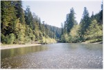 Redwood Creek in Redwood National Park