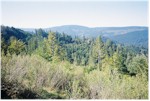 Tall Trees trailhead at Redwood National Park