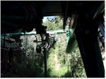 Gondola ride, Trees of Mystery, Klamath