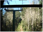 Gondola ride, Trees of Mystery, Klamath