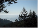 View over the Pacific, Trees of Mystery, Klamath