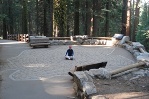 Janice sitting in a footprint of the General Sherman tree