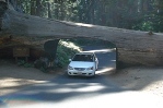 Driving through Tunnel Log