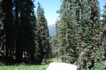 The trail to Heather Lake in Sequoia National Park