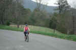 We rented bikes and rode 11 miles around the Cades Cove area.
