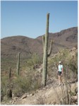 Janice and a saguaro cactus
