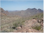 View over the Sonoran Desert, Organ Pipe Cactus National Monument