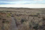 The Lathrop Canyon trail passes through grasslands for two miles before reaching the canyon rim