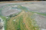 Algae living in the hot springs create amazing colors.