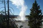 Erupting geyser at Fountain Paint Pot.